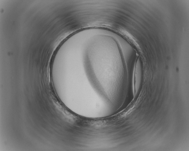 X0000076220892200610191530