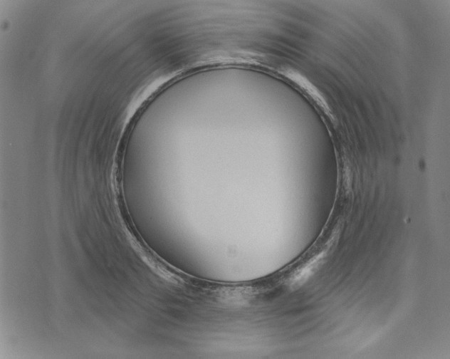 X0000076220893200610191530