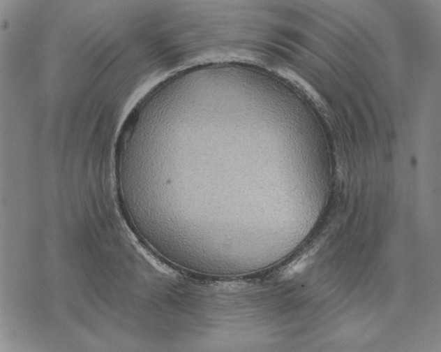 X0000076220894200610191530