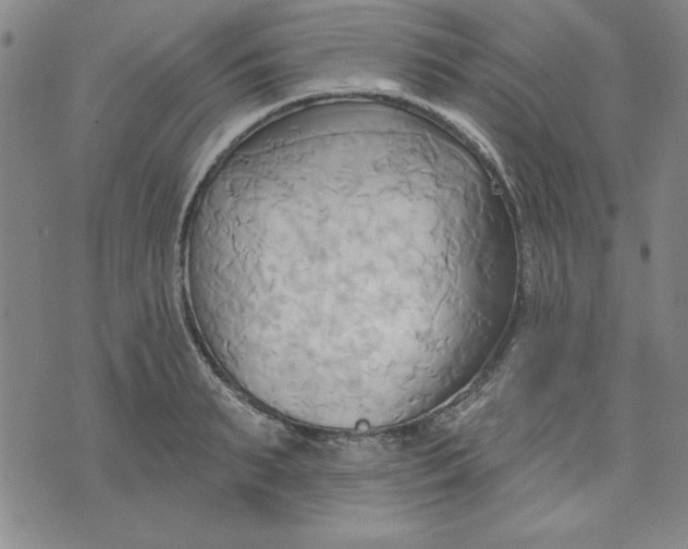 X0000076220895200610191530