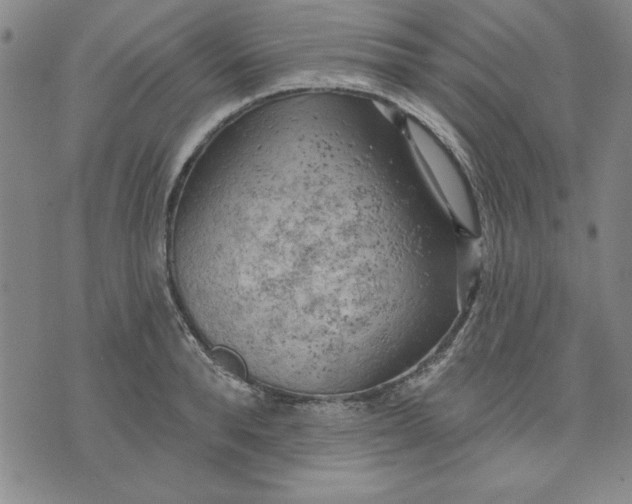 X0000076220896200610191530