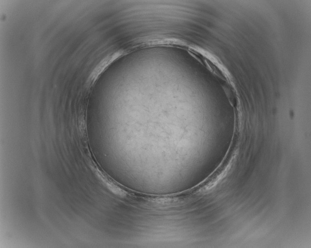 X0000076220897200610191530