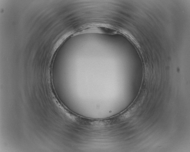 X0000076220898200610191530