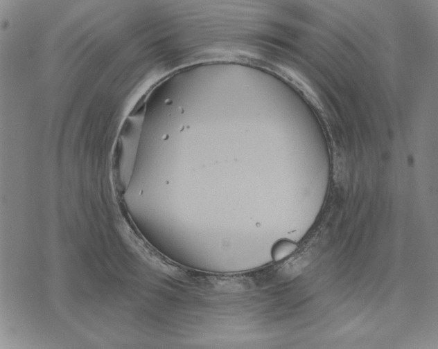 X0000076220899200610191530