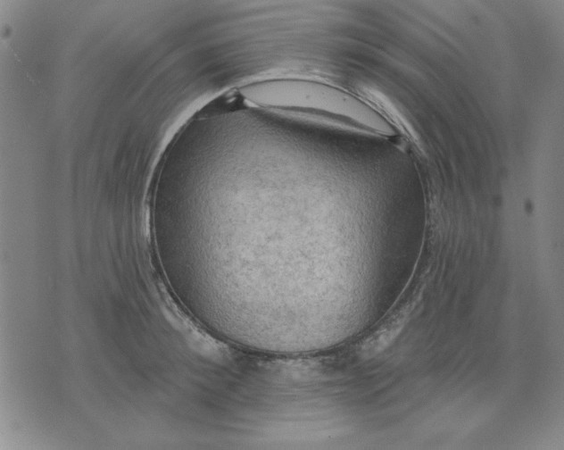 X0000076220900200610191530