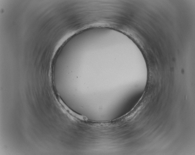 X0000076220902200610191530