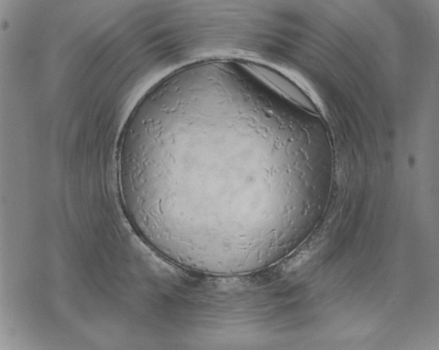 X0000076220903200610191530