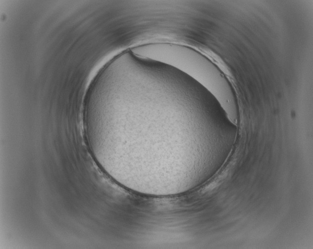 X0000076220904200610191529