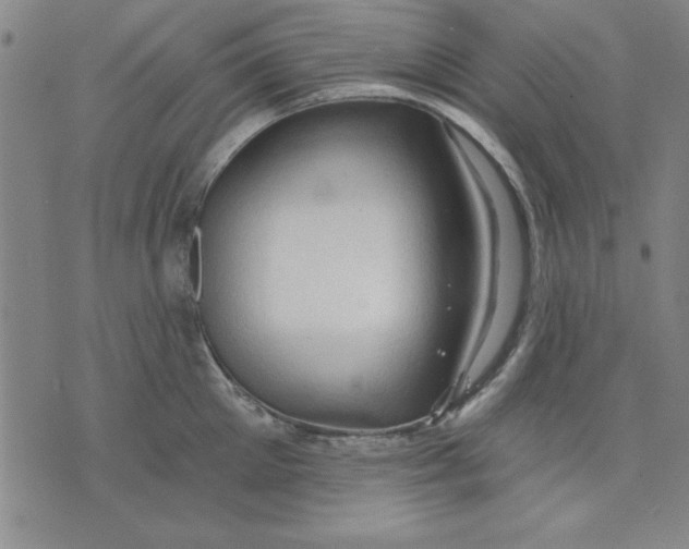 X0000076220905200610191529