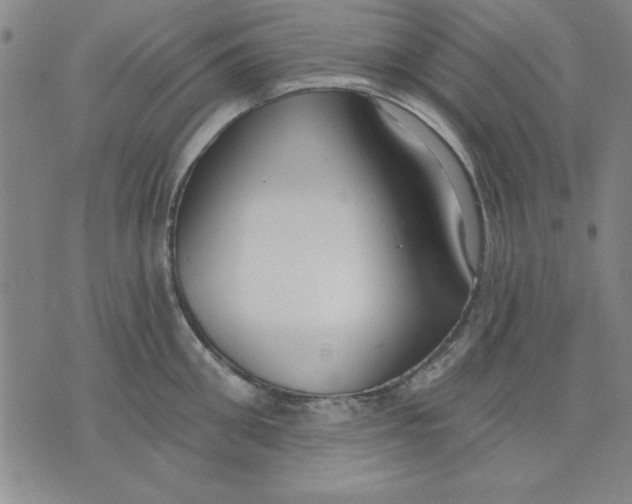 X0000076220906200610191529