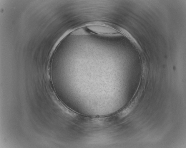 X0000076220908200610191529