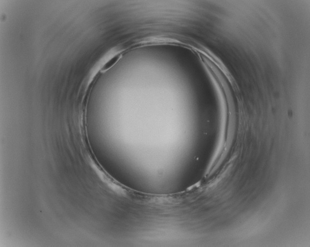 X0000076220909200610191529