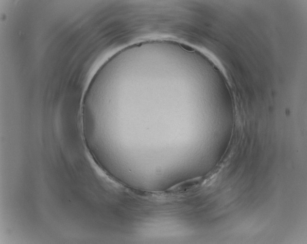 X0000076220911200610191529