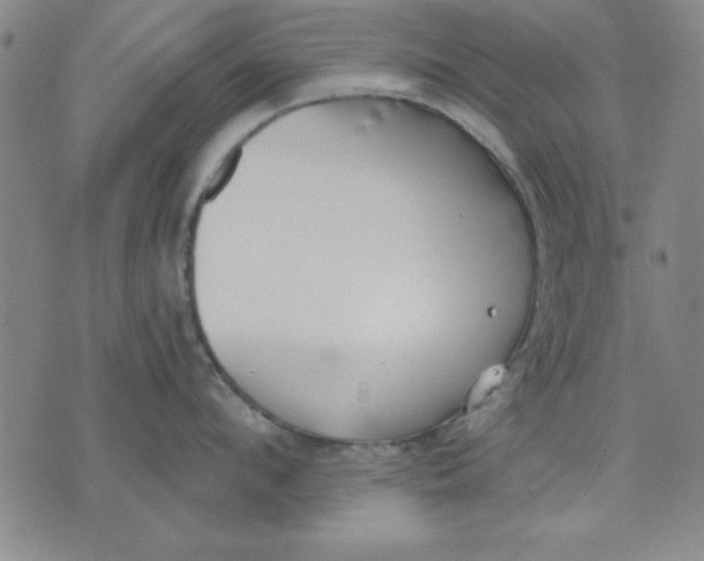 X0000076220912200610191529