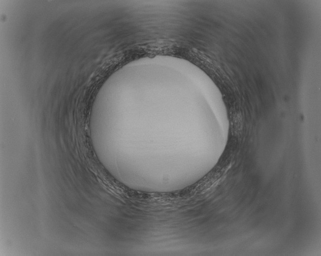 X0000076220913200610191529