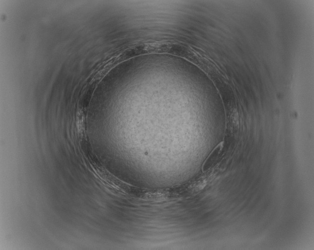 X0000076220914200610191529