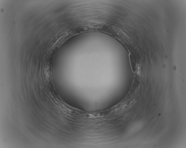 X0000076220915200610191529