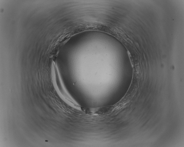 X0000076220916200610191529