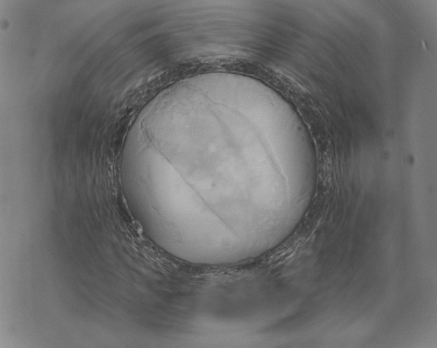 X0000076220917200610191529