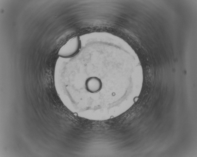 X0000076220918200610191529