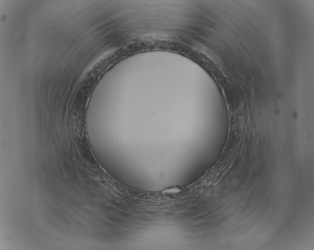 X0000076220919200610191529