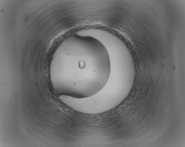 X0000076220920200610191529