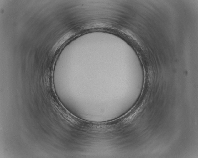 X0000076220921200610191529