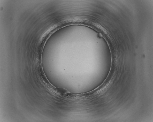 X0000076220922200610191529