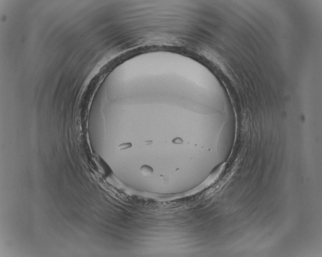 X0000076220923200610191529