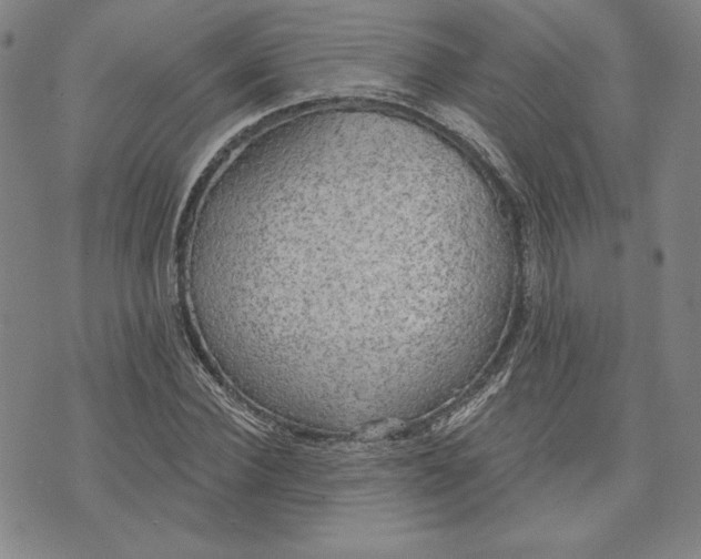 X0000076220924200610191529