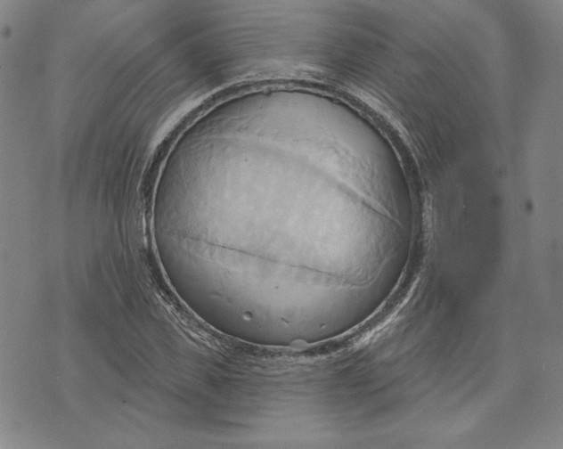 X0000076220925200610191529