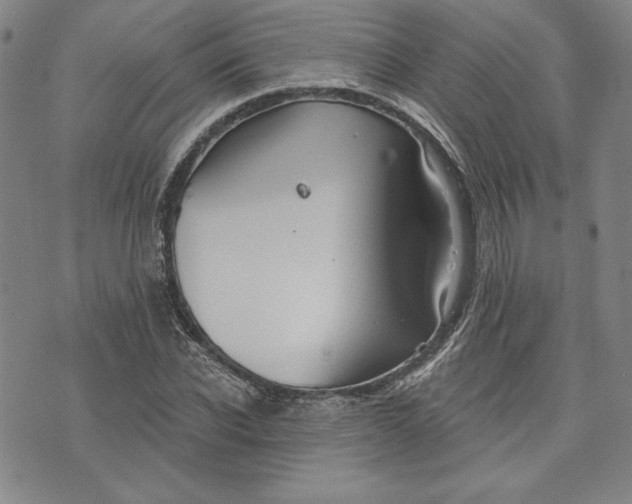 X0000076220926200610191529