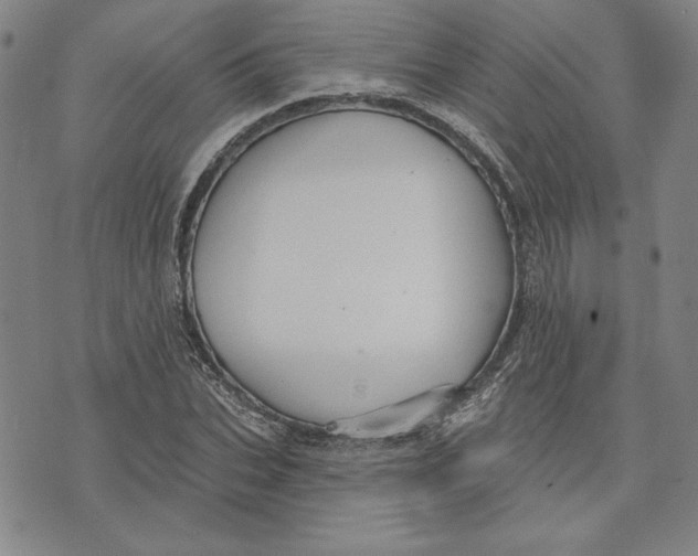 X0000076220927200610191529