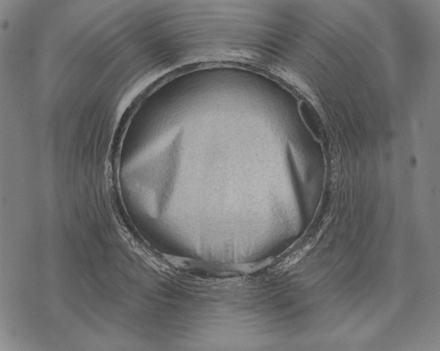 X0000076220928200610191529