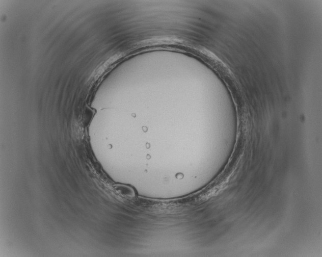 X0000076220929200610191529