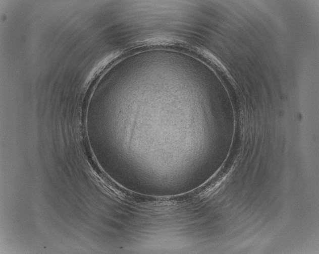 X0000076220930200610191529