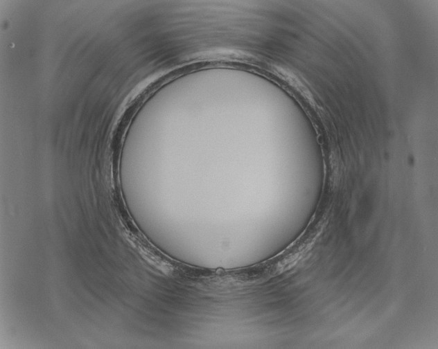 X0000076220931200610191529