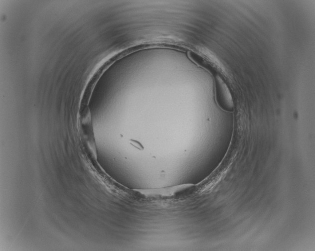 X0000076220932200610191529