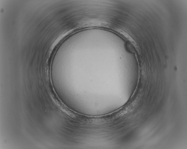 X0000076220933200610191529