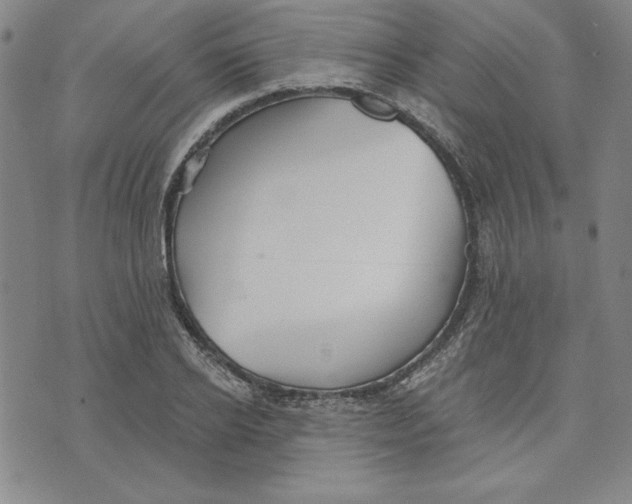 X0000076220934200610191529