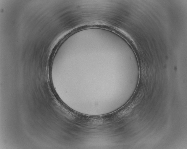 X0000076220935200610191529