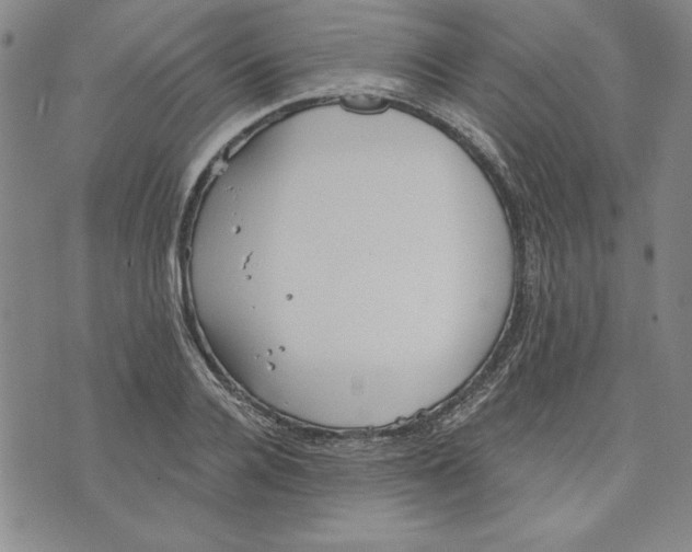 X0000076220936200610191529