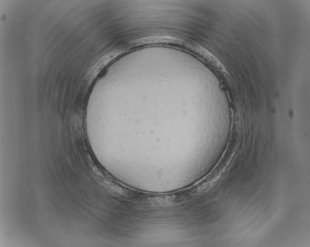 X0000076220937200610191529