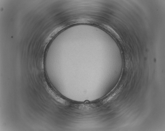 X0000076220938200610191529