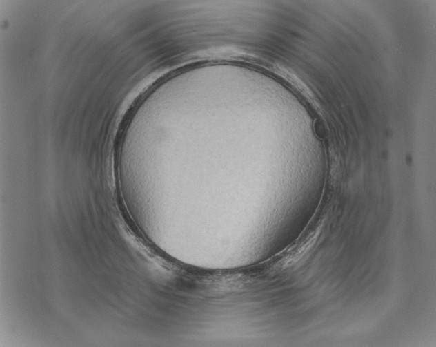 X0000076220939200610191529