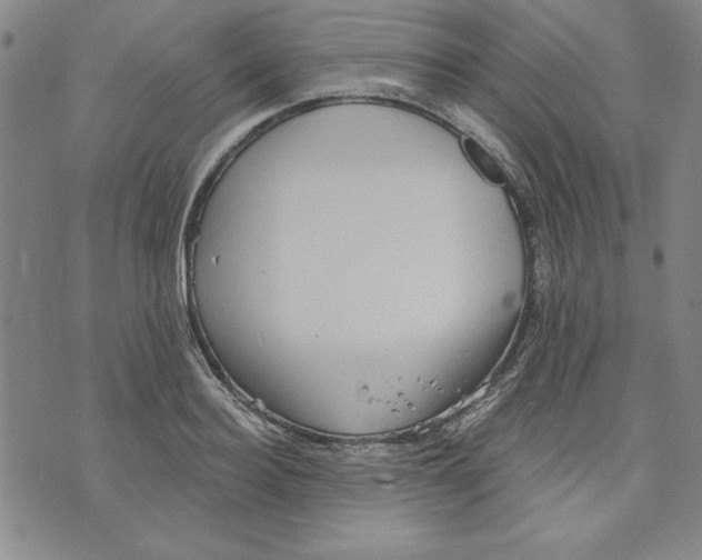 X0000076220940200610191529