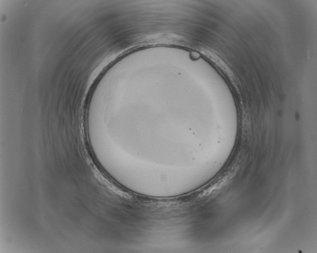 X0000076220941200610191529