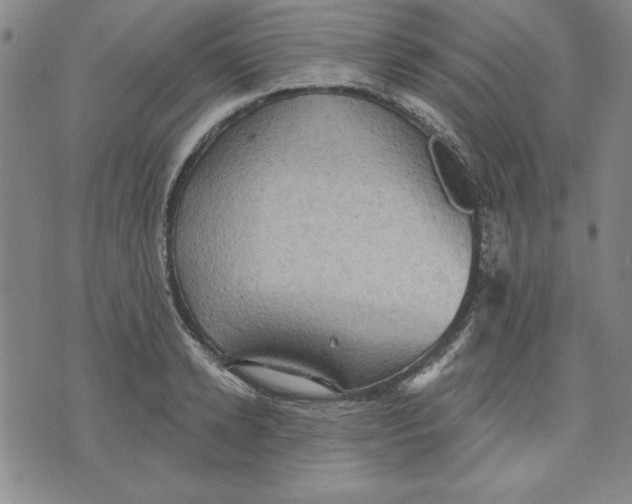 X0000076220942200610191529