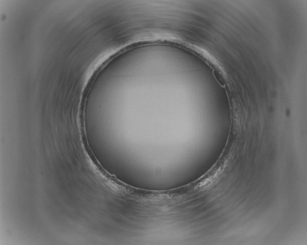 X0000076220943200610191529