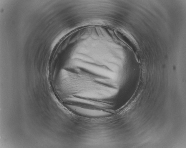 X0000076220944200610191529